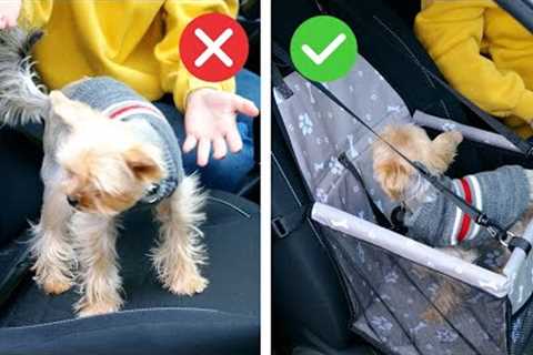 TOP 5 GADGETS EVERY DOG OWNER MUST HAVE!