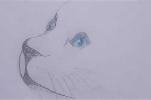2 drawing with social media app #youtubevideo #viral #trending #video #viral #rakshaartandcraft