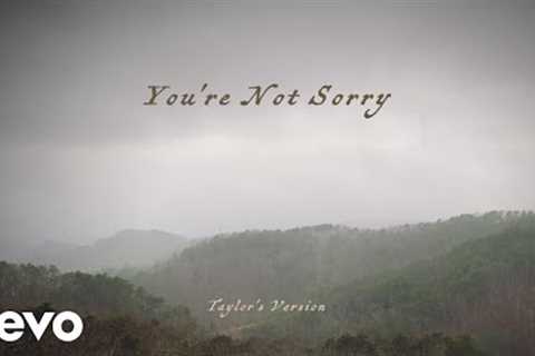 Taylor Swift - You're Not Sorry (Taylor's Version) (Lyric Video)