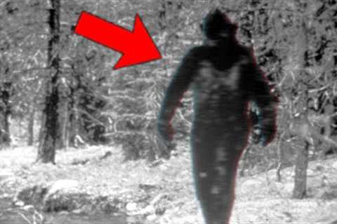 Ranger Can't Explain What His Trail Cam Captured In The Woods