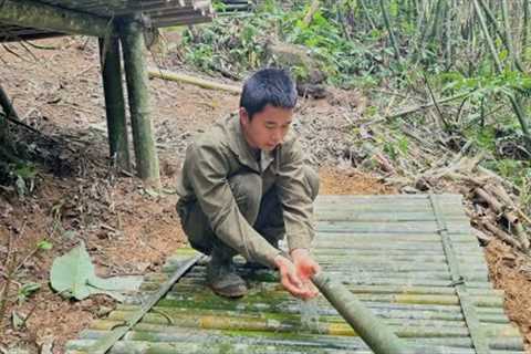 FULL VIDEO : Survival skills, finding food, crafting traps &amp; building a farm in the forest