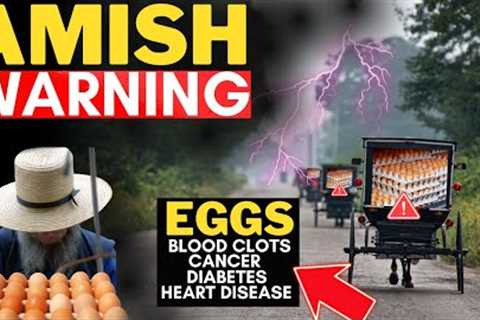 AMISH WARNING: Chickens &amp; Eggs Inflation, Food Shortages | SHTF 2023