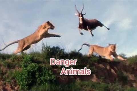 BIG NEWS :-ANIMALS#youtubevideo #youtube #ind #india #trending #viralvideo #viral #video..