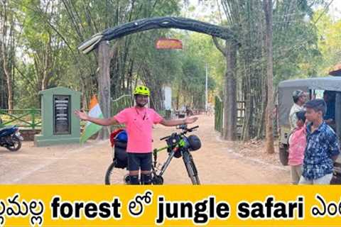 Jangal safari in AP nallamalla forest|telugu vlogs|#travel vlog