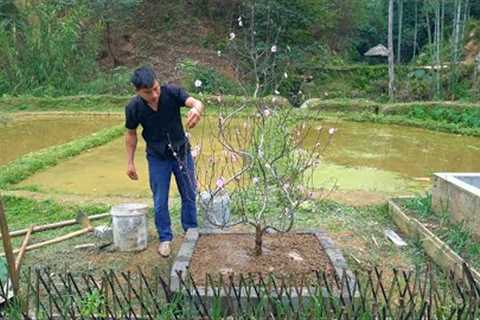 Planting peach blossoms to welcome the beautiful spring. Build the farm into a fairyland