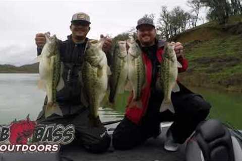Lake Berryessa Report 1/15/23