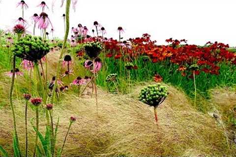 How landscape designer Piet Oudolf captures nature's ‘emotion'