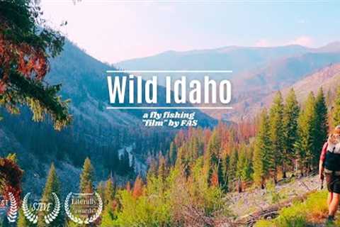This is America’s Best Wild River Trip | DIY Idaho | 5 days Fly Fishing Hiking &amp; Backpacking