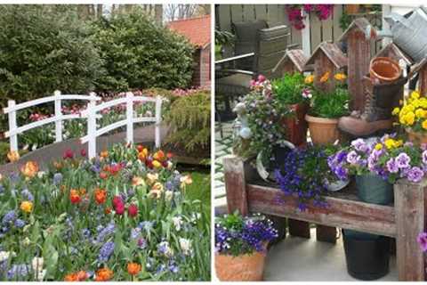 Flowers and plants in the landscape design of the garden, yard! 40 beautiful ideas!