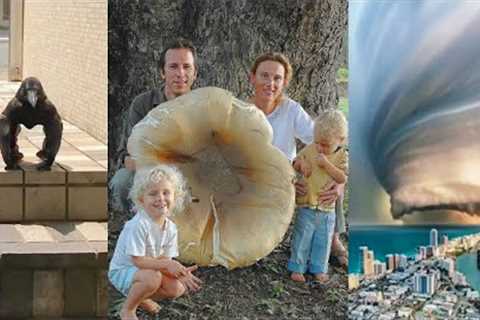 Strangest Unexplainable Happenings In The World | Never Seen Before