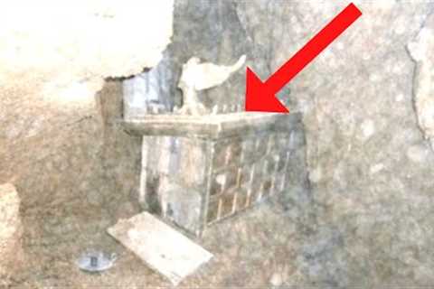 12 MINUTES AGO: Archeologists Announced The Ark Of The Covenant Has Been Discovered
