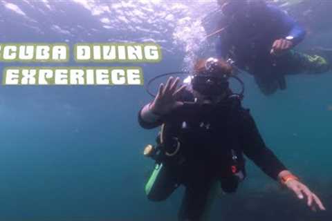 Scuba Diving experience#Lezielable