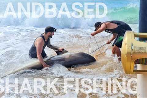 Kayaking Baits Out 2023 - Landbased Shark Fishing For Bronze Whalers - Shimano Tiagra 80w - Big Fish