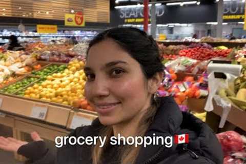 grocery shopping in canada🇨🇦 | international student