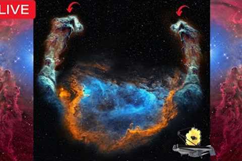 Snail Face Nebula Captured by James Webb Space Telescope with more new images just added LATEST NEWS
