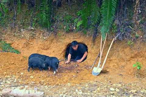 Construction of a shelter to avoid the cold for the piglets - The process of building a farm