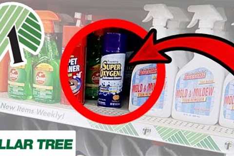 10+ Things You Should Be Buying at Dollar Tree in February 2023