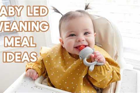 WHAT MY 6 MONTH OLD EATS IN A DAY | BF + Baby Led Weaning