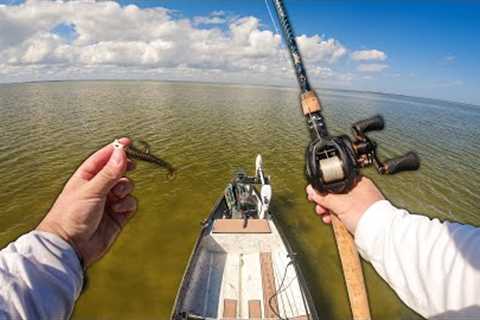 Tiny Baits and Topwater! Florida Shallow Water Fishing on a Gheenoe