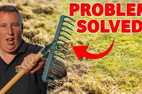Do you have a lawn that is SPONGY to walk on - This is the FIX