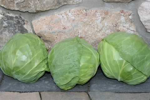 This year, try these mini fruits and vegetables in your garden