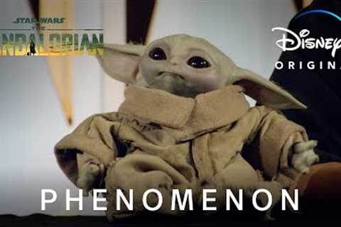 Phenomenon | The Mandalorian | Disney+