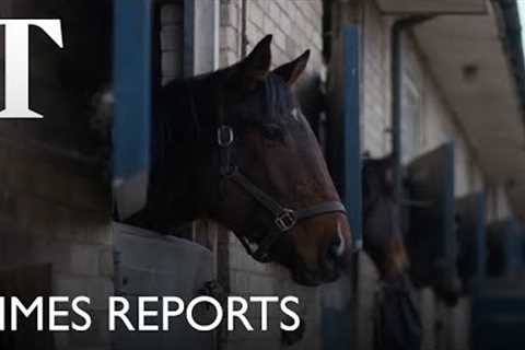 Is horse racing’s future under threat? | Times Reports