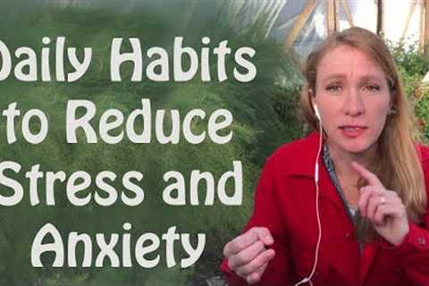 Daily Habits to Reduce Stress and Anxiety