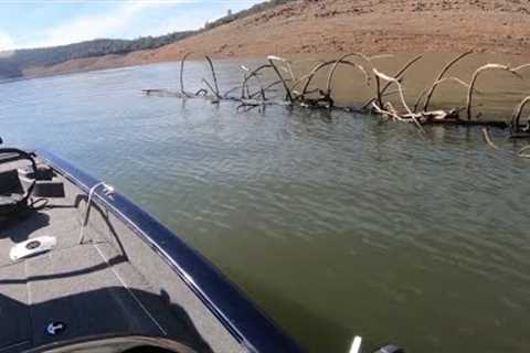 Lake Oroville Rising Water: Driftwood Nightmare, Sunken Houseboat, January 2023 Bass Club Derby