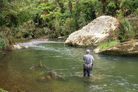 Incredible Fly Fishing for BIG Rainbow Trout in a Stunning River!!