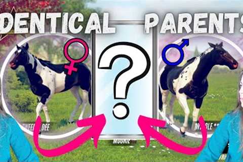 Today we breed TWO IDENTICAL HORSES! Unexpected foals... / Rival Stars Horse Racing