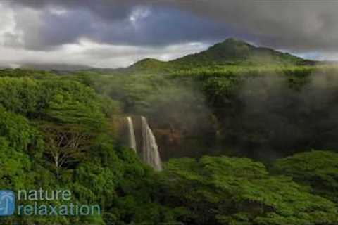 BEST OF 2018: 12 HOURS of Healing Music &amp; Amazing 4K Nature Scenes by Nature Relaxation™