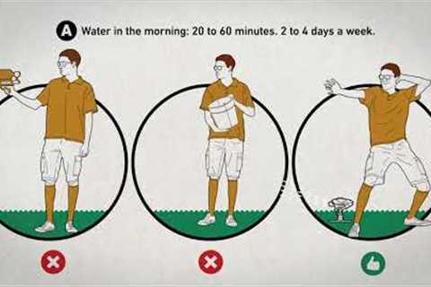 5 Big Lawn Care Mistakes &amp; Tips to Avoid Them