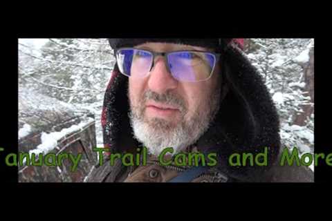 January Trail Cams &amp; Bush Walk