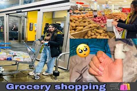 Grocery Shopping in Canada 🇨🇦🛒🛍️ || University 😍 || Keep Support 🙏🏻 || Angel Shivam 🧿❤️