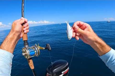 Tiny Bait Catches Big Bottom Dwelling Fish - Offshore Ocean Bottom Fishing
