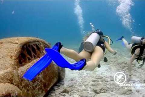 Scuba Diving Tour Cancun &amp; PADI Courses in Cancun