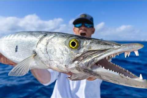 You've Been LIED to... Eating TOXIC Fish! Catch Clean Cook (Barracuda)