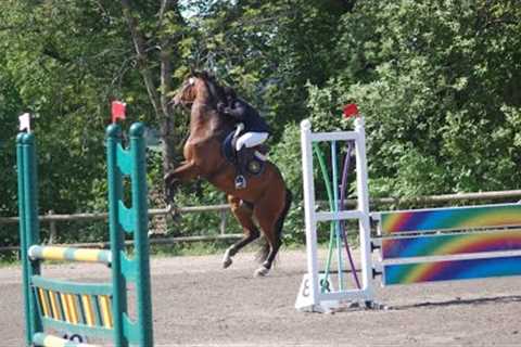 HORSE FAILS AND FALLS (MUST WATCH)