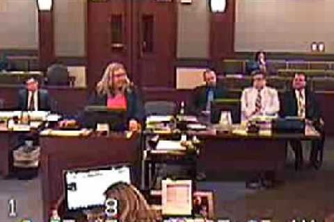 Bully Family Court Lawyer gets SLAPP