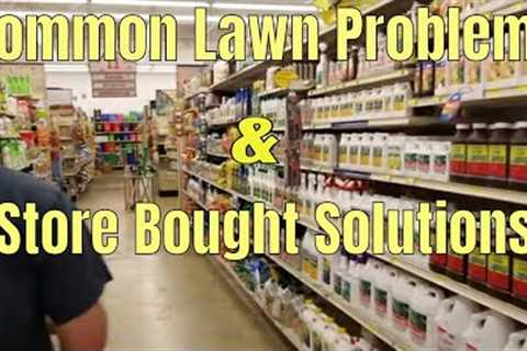 DIY How To fix common lawn problems with store bought solutions. 5 common lawn problems &amp;..