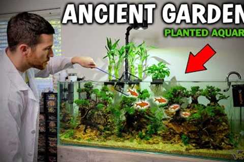 Ancient Gardens (Bonsai Tree) Planted Aquarium - Advanced Fish Tank Setup