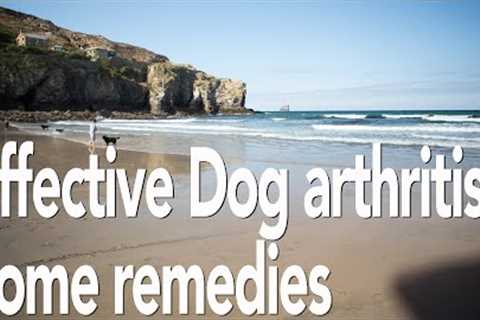 Dog arthritis treatment home remedy | All natural pain relief for dogs | Adrian