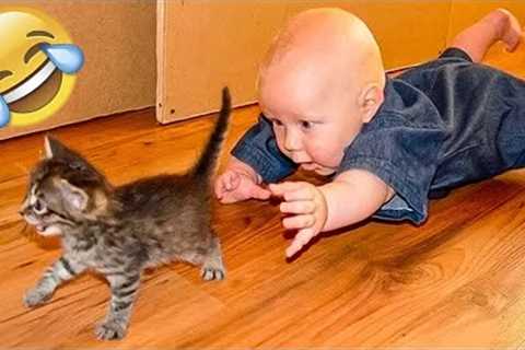 1 HOUR FUNNY CATS COMPILATION 2022😂| Funny and Cute Cat Videos😸 !