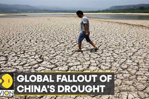 WION Climate Tracker | Global ramifications of China's drought; world stares at more food shortage