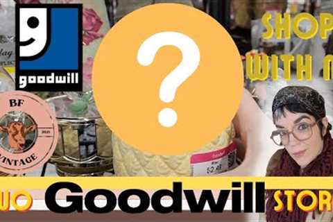 2 Goodwill Thrift Stores - THRIFT WITH ME | Shop Along With Me - Reseller - Whatnot Etsy