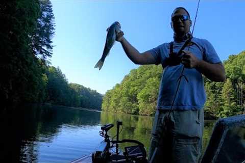 Summer Bass Fishing on South Holston Lake, TN