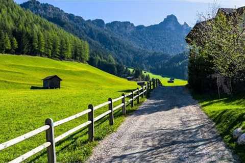 Soothing Stress Relief Music With Beautiful Nature 🍀 Stop Anxiety, Depression #3