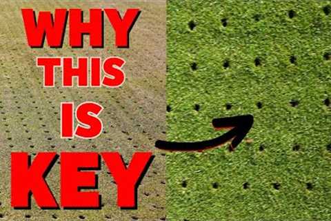 The KEY to PERFECT grass lies below  -  How the pro's do it