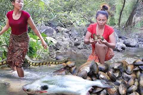 Best 3 survival video! Found &amp; Catch to cooking, Snake, Shellfish &amp; Big fish - Adventure in ..